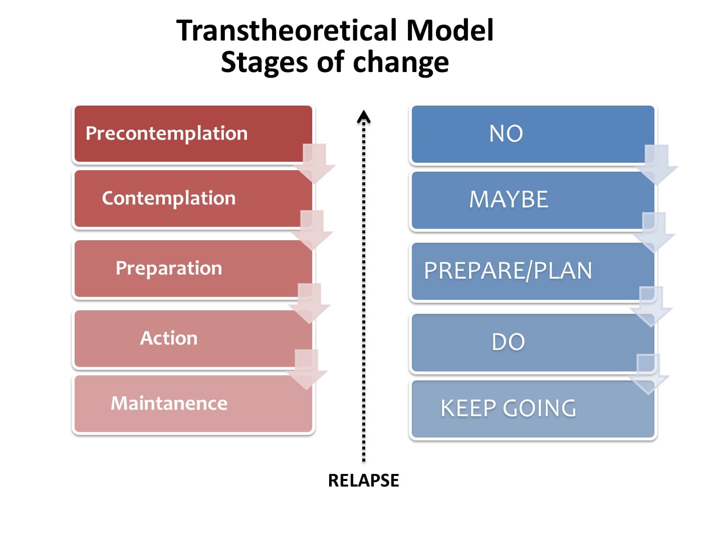Transtheoretical_Model_-_Stages_of_change รูปประกอบขั้นตอนการปรับเปลี่ยนพฤติกรรม ตามทฤษฎีTTM